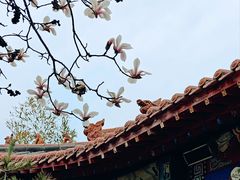 -碑林公园