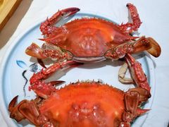 -渔民船说·北塘海鲜·天津菜·海肠捞饭(北塘古镇店)