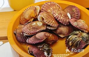Deep-Sea Red Abalone