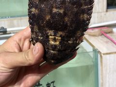 -海盗餐厅