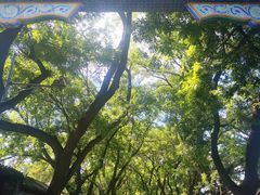 -隆福寺小吃店(东四店)