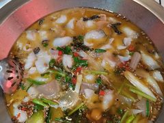 -麻小度青花椒鱼蛙火锅