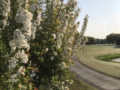 -旭宝高尔夫俱乐部