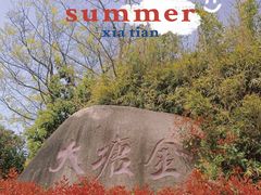 -大塘金香草谷
