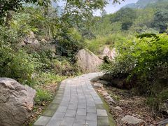 -大岭沟猕猴桃谷风景区