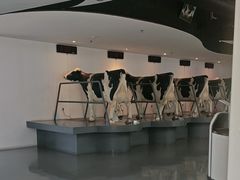 -蒙牛工业旅游景区