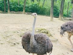-杭州野生动物世界