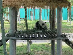 -西霞口神雕山野生动物世界