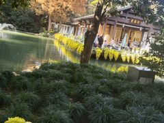 -杭州植物园