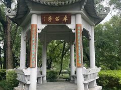-江心屿景区