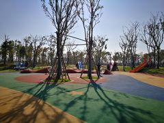 -春花秋色城市公园