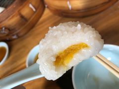 茨毛圆子-双塔老饭店