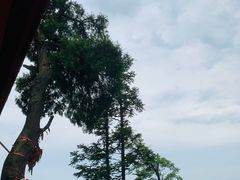 -青城山