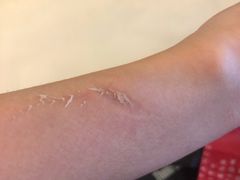-证大喜玛拉雅中心