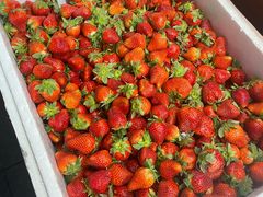 -老炳·七丛松甘草水果