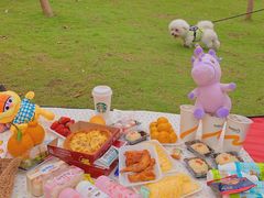 -枫香湖儿童公园