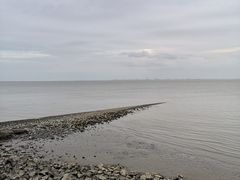 -瀛洲公园