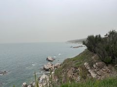 -养马岛旅游度假区