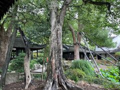 -上海醉白池公园