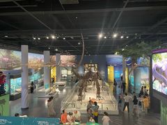 -国家自然博物馆