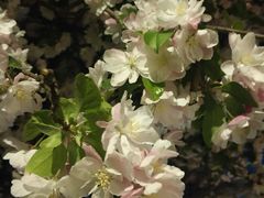 -廊坊文化艺术中心