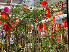 -葡萄园鱼庄(新津店)