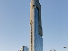 -紫峰大厦