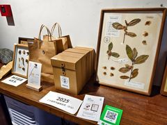 -月栖华明-云间草堂清茶馆(泗泾古镇店)