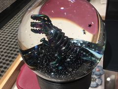 店内拍摄-COACH蔻驰(美罗百货新区)