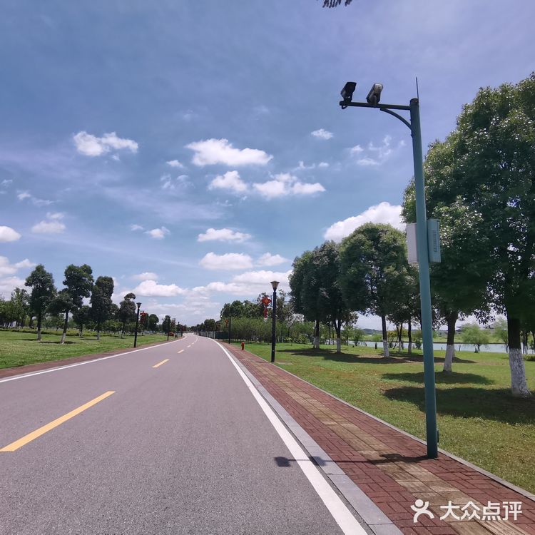 骑脚踏车🚲逛逛逛