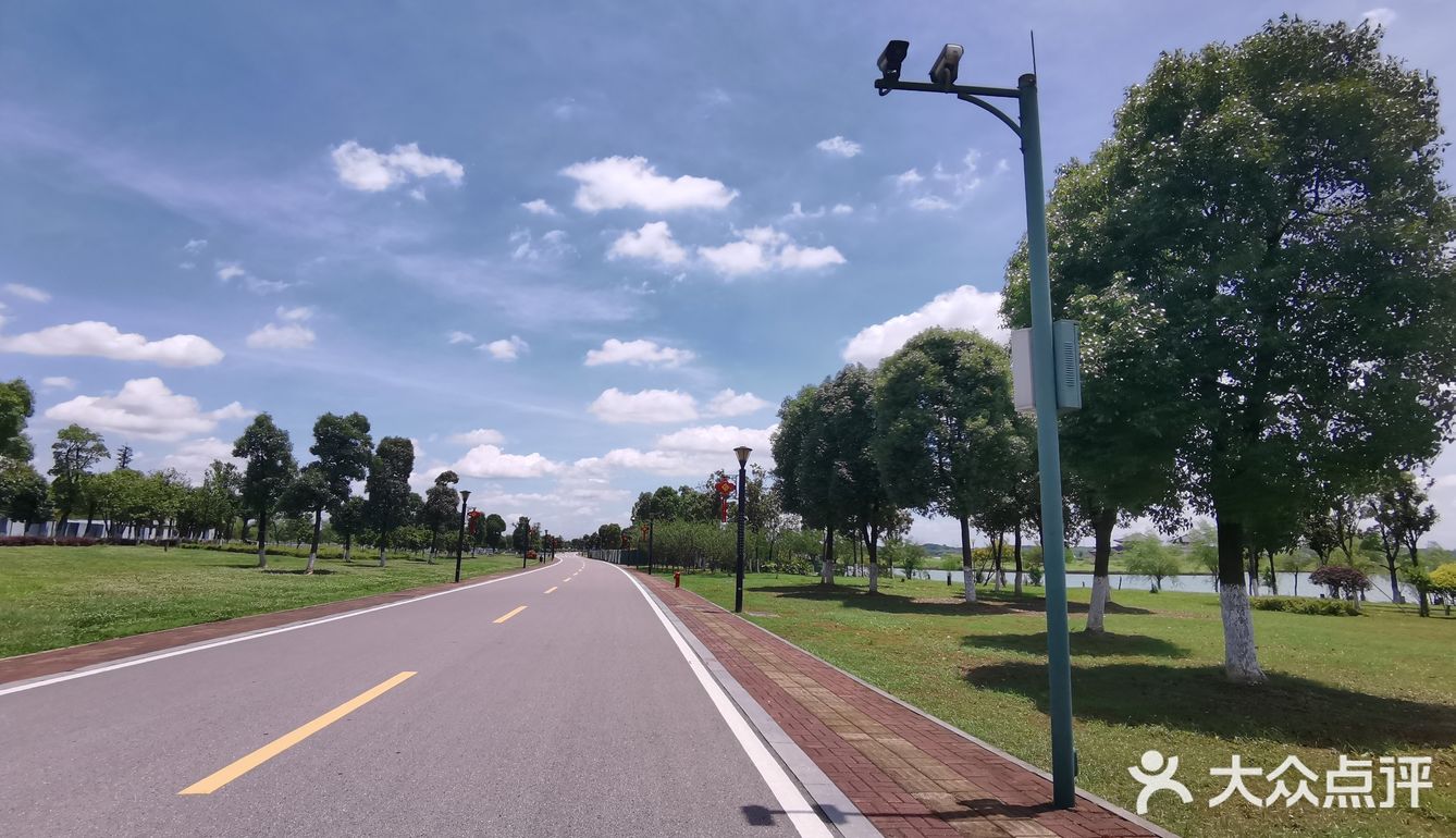 骑脚踏车🚲逛逛逛