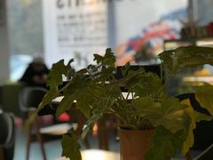 -今日艺术汇书店