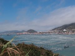 -枸杞岛