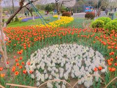 -玄武湖景区-情侣园游乐场