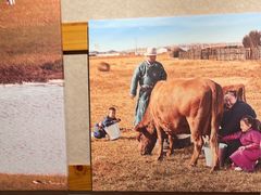 -西贝(宝乐汇店)