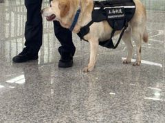 -东方体育中心(地铁站)