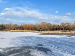 -大兴滨河森林公园