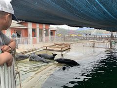 -渔岛海洋度假区