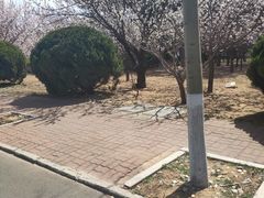 -山东大学(威海校区)