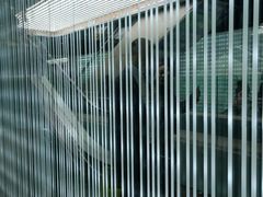 -远洋未来广场(育慧北路店)