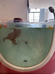 -敦南真爱月子会所(黄埔店)