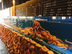 水产区-綱元·海鲜豆捞(明州里店)