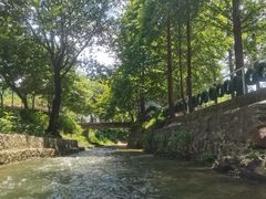 -天目湖松岭竹海漂流