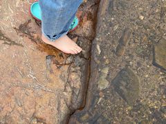 -北仑森林植物园