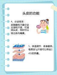 -Bollins波林丝•专研护发中心