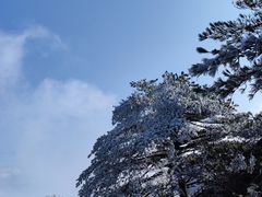 -高一点·徽味酥饼王·黄山烧饼