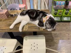 -小时光咖啡馆(开森度假森林店)