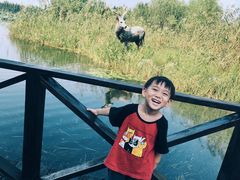 -溱湖国家湿地公园