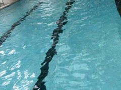 -一兆韦德健身(慧芝湖店)