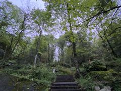 -大围山国家森林公园